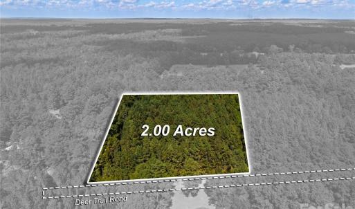 Photo #14 of 00-00 Deer, Raeford Township, NC