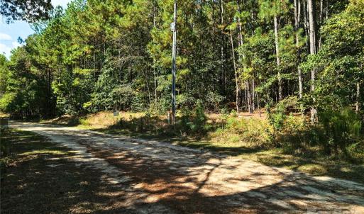 Photo #13 of 00-00 Deer, Raeford Township, NC