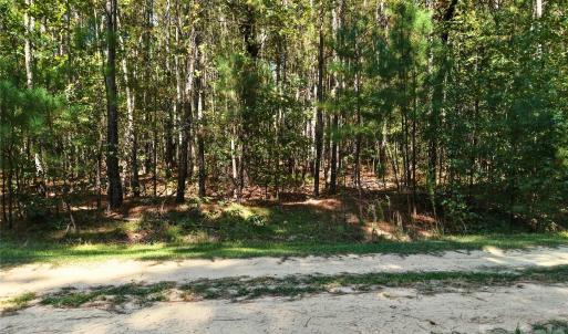 Photo #9 of 00-00 Deer, Raeford Township, NC