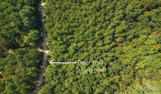 Photo #3 of 00-00 Deer, Raeford Township, NC