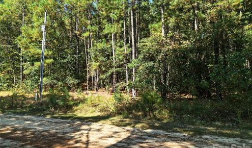 Photo #15 of 00-00 Deer, Raeford Township, NC