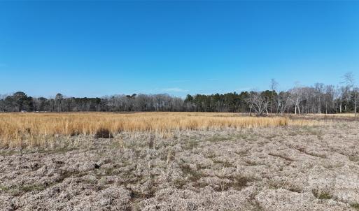 Photo #23 of Division, Fayetteville, NC