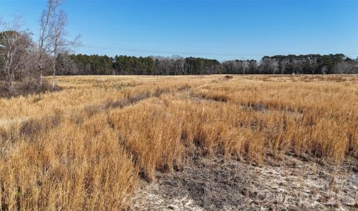 Photo #5 of Division, Fayetteville, NC