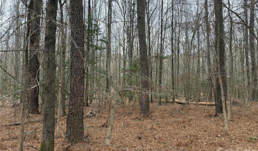 Photo #5 of 6191 Chimney Bluff, Lancaster, SC