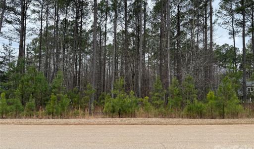 Photo #4 of 6191 Chimney Bluff, Lancaster, SC