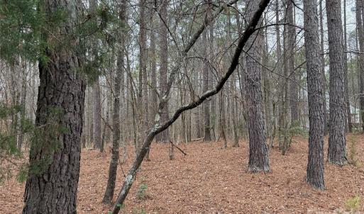 Photo #6 of 6191 Chimney Bluff, Lancaster, SC