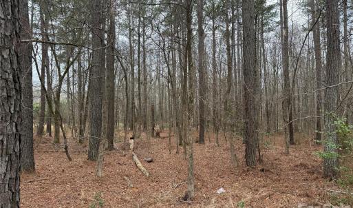 Photo #7 of 6191 Chimney Bluff, Lancaster, SC