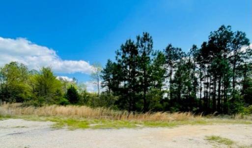 Photo #4 of Hwy 1, Cheraw, SC