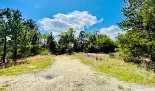 Photo #3 of Hwy 1, Cheraw, SC