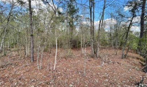 Photo #2 of Hwy 1, Cheraw, SC