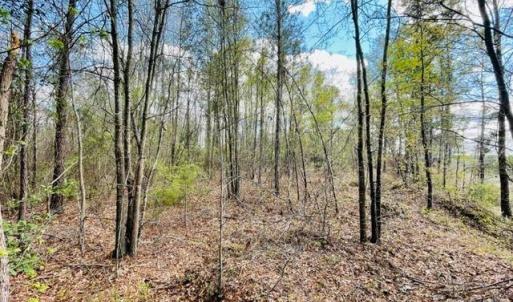 Photo #1 of Hwy 1, Cheraw, SC