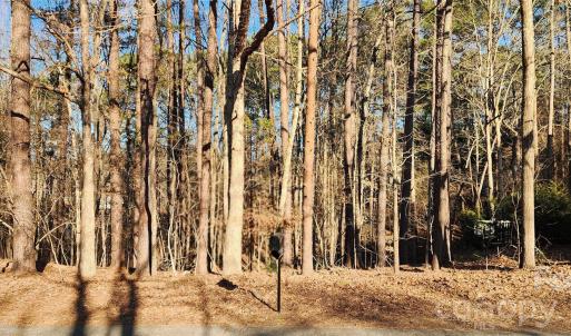 Photo #11 of 11176 Water Trace, Fort Mill, SC