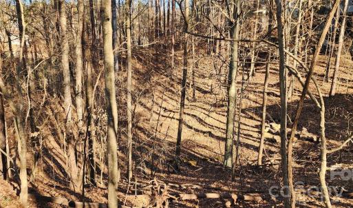 Photo #21 of 11176 Water Trace, Fort Mill, SC