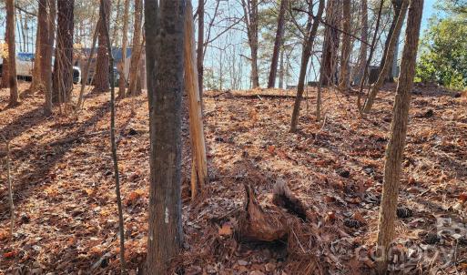 Photo #23 of 11176 Water Trace, Fort Mill, SC