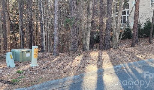 Photo #25 of 11176 Water Trace, Fort Mill, SC
