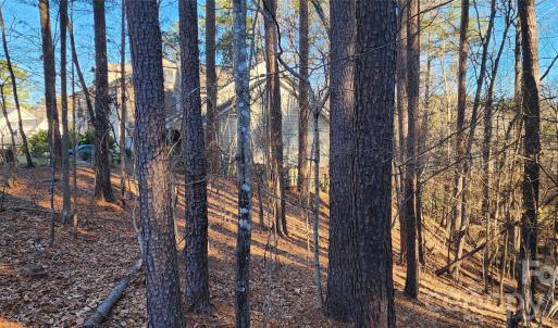 Photo #16 of 11176 Water Trace, Fort Mill, SC