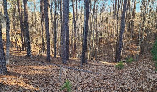 Photo #3 of 11176 Water Trace, Fort Mill, SC