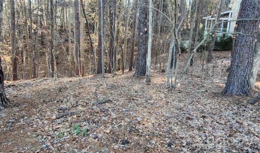 Photo #18 of 11176 Water Trace, Fort Mill, SC