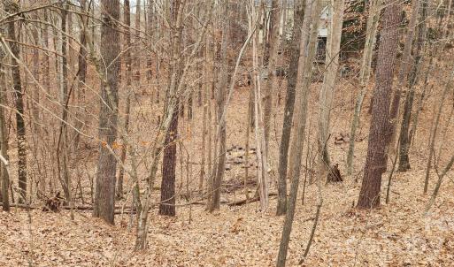 Photo #24 of 11176 Water Trace, Fort Mill, SC