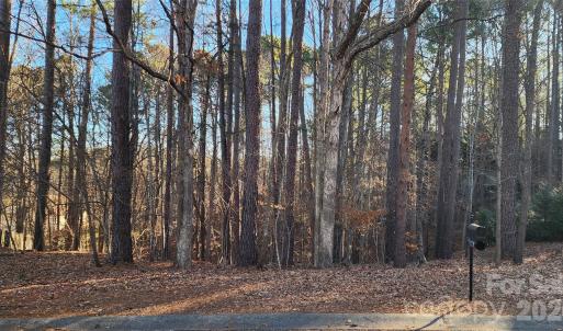Photo #9 of 11176 Water Trace, Fort Mill, SC