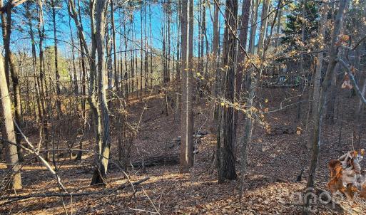 Photo #7 of 11176 Water Trace, Fort Mill, SC