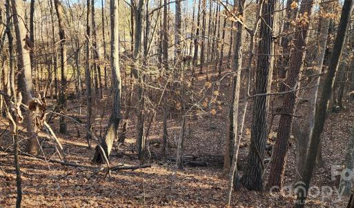 Photo #22 of 11176 Water Trace, Fort Mill, SC