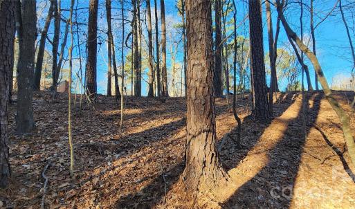 Photo #17 of 11176 Water Trace, Fort Mill, SC