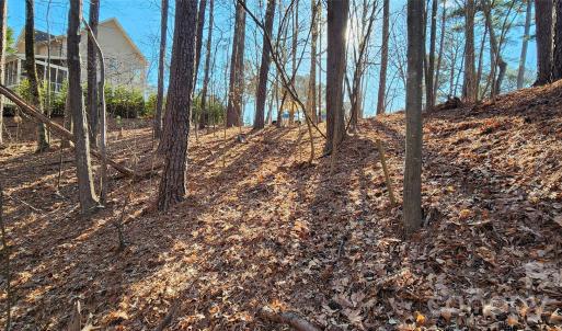 Photo #5 of 11176 Water Trace, Fort Mill, SC