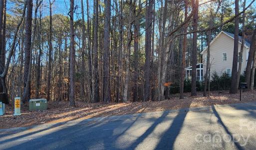 Photo #19 of 11176 Water Trace, Fort Mill, SC