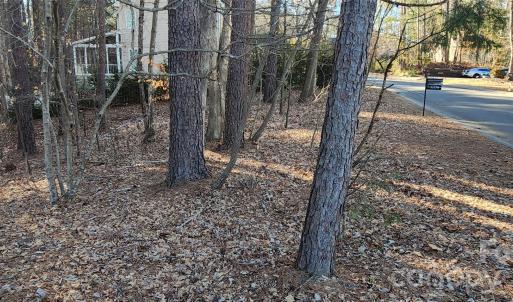 Photo #14 of 11176 Water Trace, Fort Mill, SC