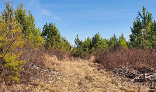 Photo #19 of 420 Tuckertown, New London, NC