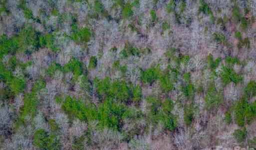 Photo #18 of TBD Old Catholic Church, Richburg, SC