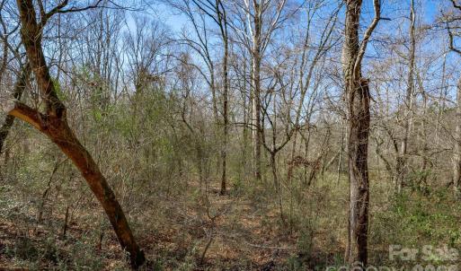 Photo #16 of TBD Old Catholic Church, Richburg, SC