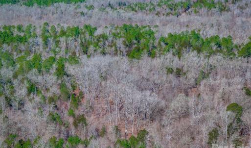 Photo #25 of TBD Old Catholic Church, Richburg, SC