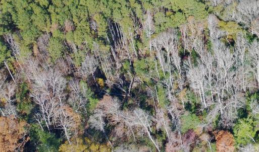 Photo #20 of TBD Old Catholic Church, Richburg, SC