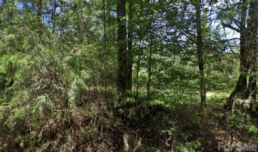 Photo #16 of TBD Old Catholic Church, Richburg, SC