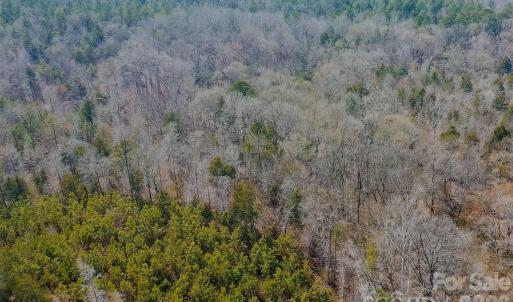 Photo #24 of TBD Old Catholic Church, Richburg, SC