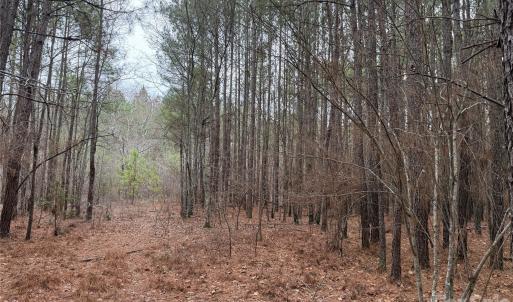 Photo #10 of 106 Legrand, Mount Gilead, NC