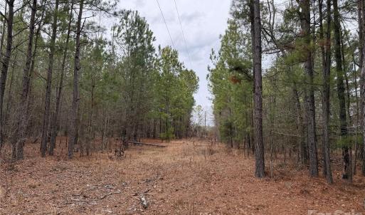 Photo #6 of 106 Legrand, Mount Gilead, NC