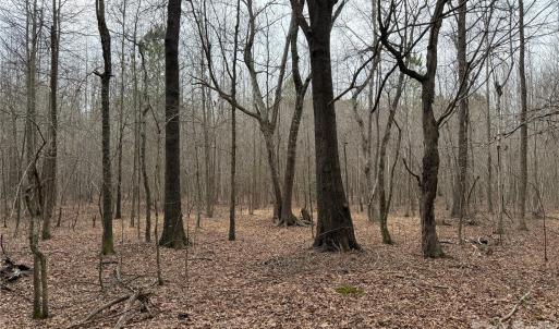 Photo #13 of 106 Legrand, Mount Gilead, NC