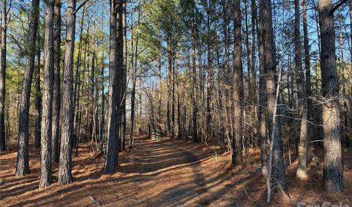 Photo #5 of 106 Legrand, Mount Gilead, NC