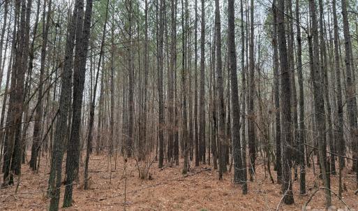 Photo #11 of 106 Legrand, Mount Gilead, NC