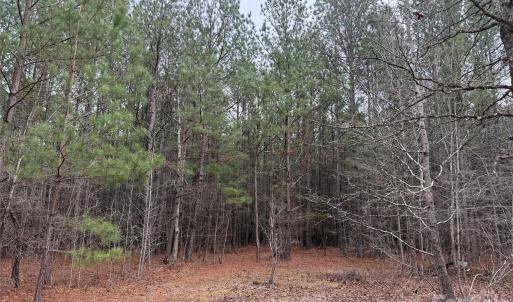 Photo #9 of 106 Legrand, Mount Gilead, NC