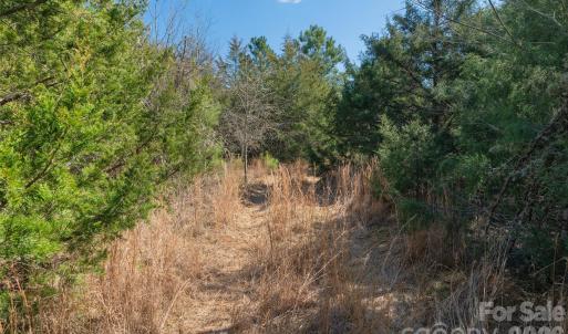 Photo #20 of Cemetery, Fort Lawn, SC