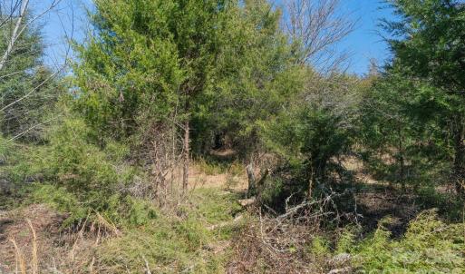 Photo #8 of Cemetery, Fort Lawn, SC