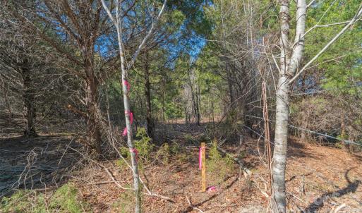 Photo #17 of Cemetery, Fort Lawn, SC