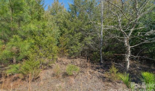 Photo #9 of Cemetery, Fort Lawn, SC