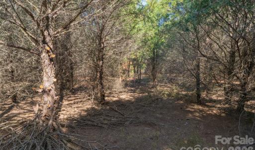 Photo #22 of Cemetery, Fort Lawn, SC