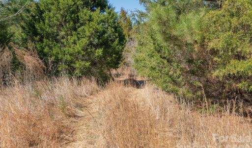 Photo #16 of Cemetery, Fort Lawn, SC