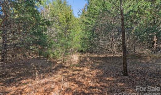 Photo #15 of Cemetery, Fort Lawn, SC